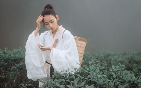 叶初婳《采茶纪》 – YiTuYu艺图语