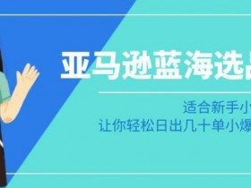 亚马逊成人用品市场趋势预测，未来三年的增长点与风险分析