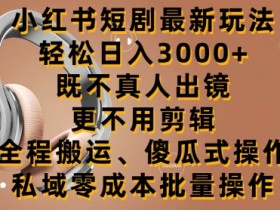 短剧搬运如何选择内容，小红书精准选剧高收益操作指南