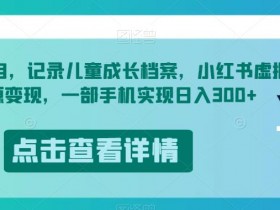小红书虚拟资料项目好赚钱吗，收益与成本分析