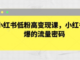 短剧推广赚钱的底层逻辑，小红书蓝海项目的操作秘籍