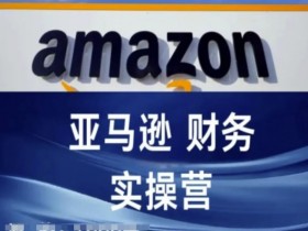 迪拜跨境电商运营模式如何提升收入，提升迪拜电商平台运营收入的方案