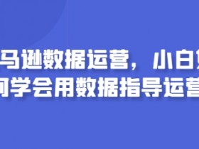 亚马逊成人用品的独立站运营方案，从0到1的详细操作流程