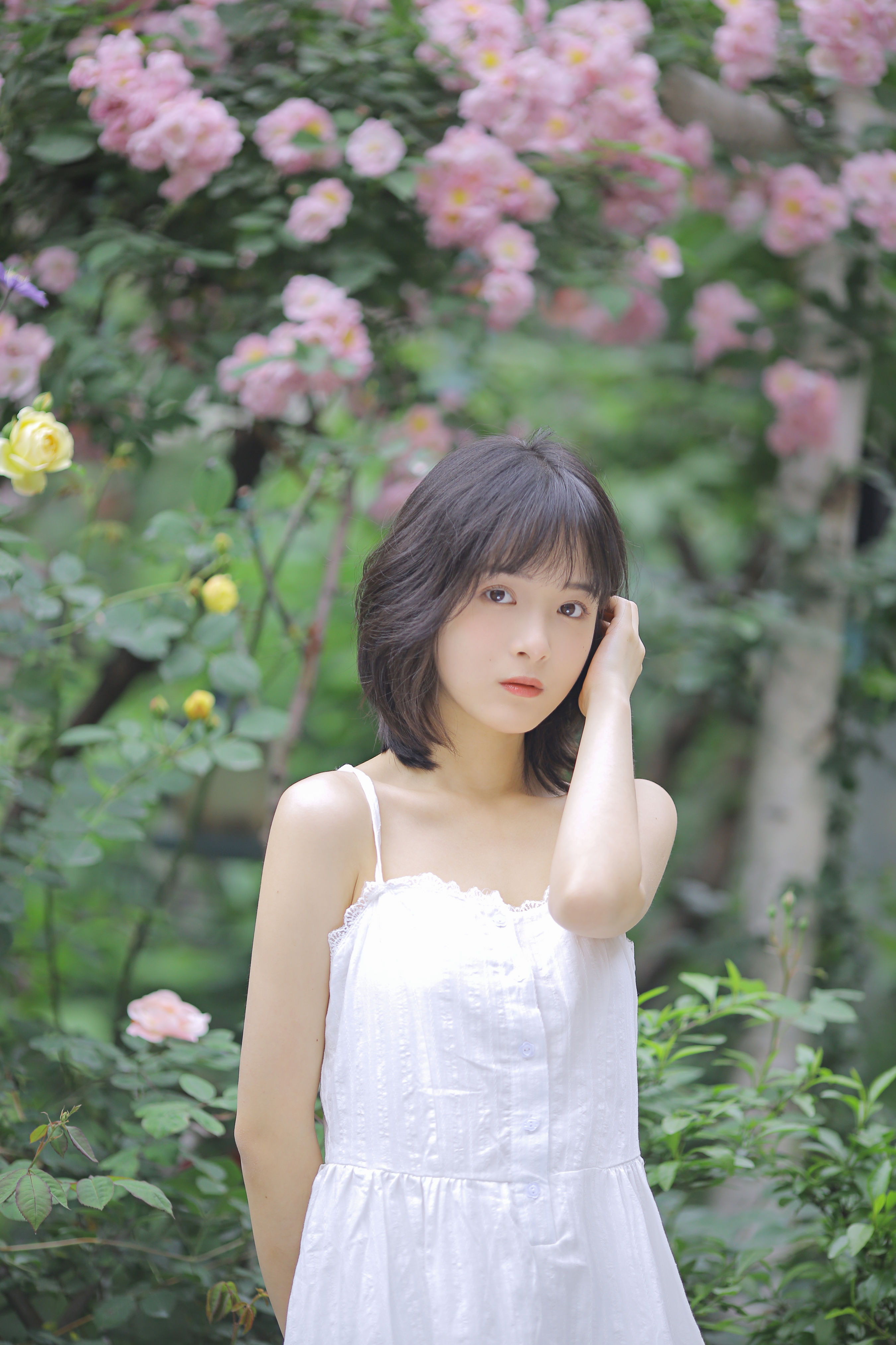 [YiTuYu艺图语] 甜酒八號《花期已致 美好如初》 好看的4K高清无水印纯欲妹子意境唯美写真完整版图集