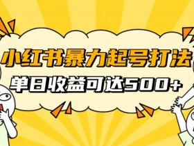 小红书如何通过引流提升销量，高效带货笔记的写作技巧