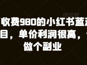 如何高效推广短剧，小红书蓝海赛道的操作秘诀揭秘