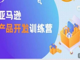 亚马逊成人用品行业哪里进货，高质量供应商推荐与挑选技巧