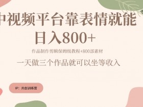 表情包项目如何通过小红书引流，低成本获取精准流量的玩法