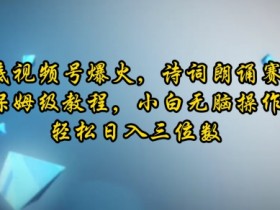 视频号蓝海风口项目揭秘，新手如何轻松操作日入500+