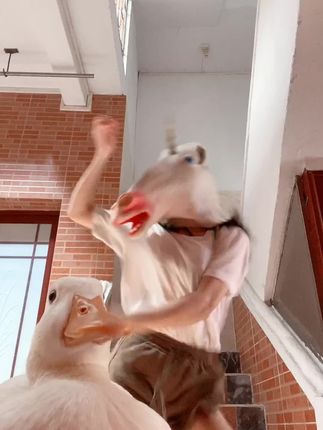 抖音VC独角兽免费资源，最新作品全集分享