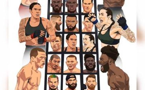 格斗实况的公式书，解读《格斗实况》的格斗公式书与角色设定