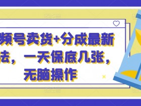 视频号素人带货怎么赚钱，揭秘普通人月入10W+的秘籍