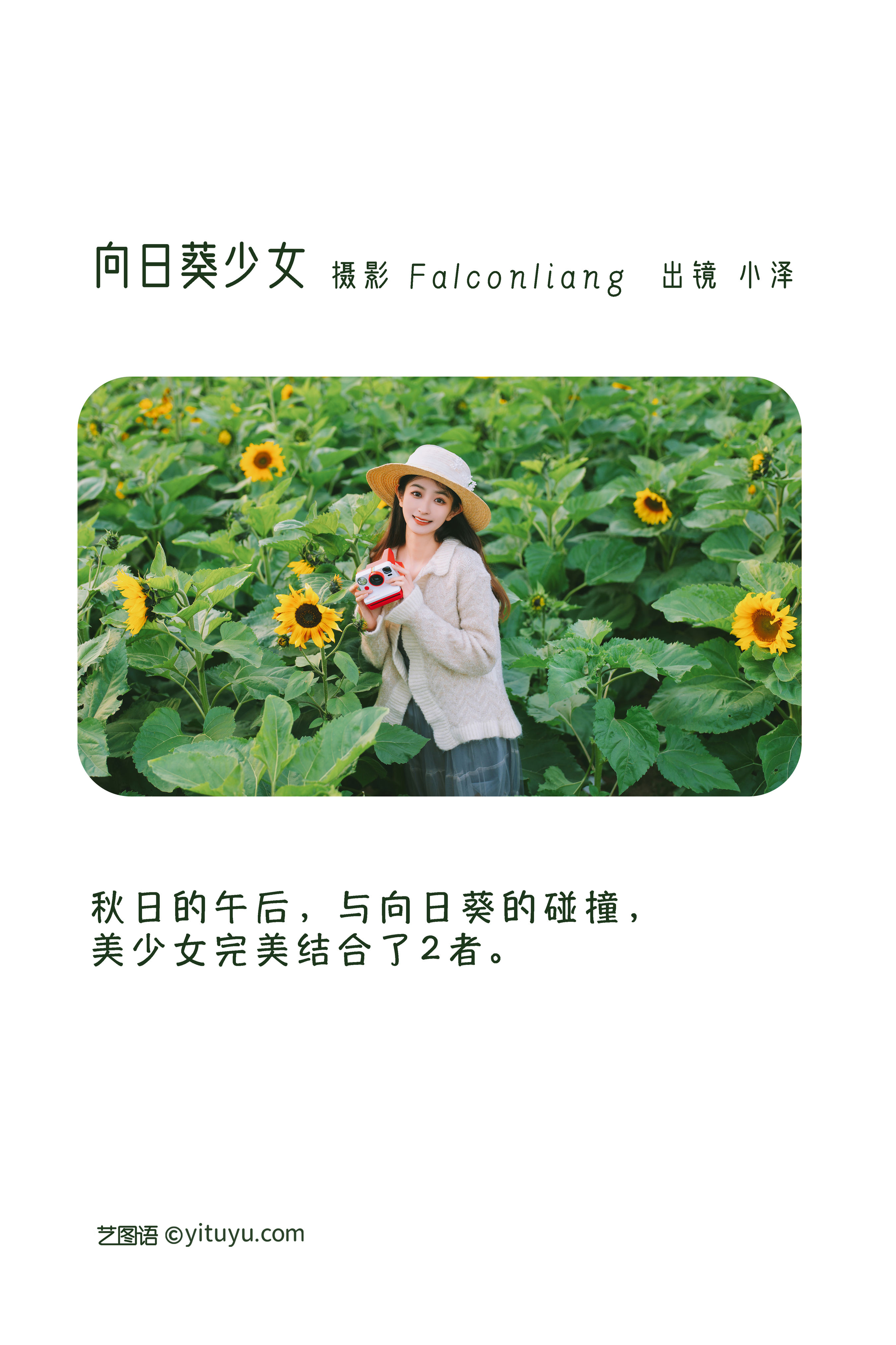 向日葵少女 小清新 养眼 向日葵 少女
