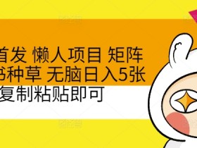 小红书掘金项目流量玩法，低成本引流的完整实操教程