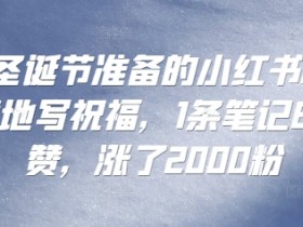 小红书如何私域引流不违规，日增200+的避坑指南