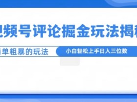 视频号直播付费观看靠谱吗，真实案例解读收益潜力与注意事项