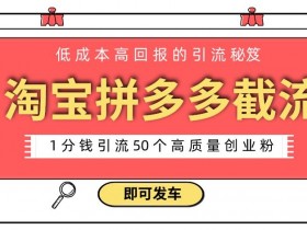 拼多多无人直播带货详细教程，轻松实现零成本高回报