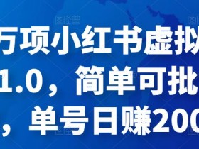 小红书虚拟资料项目好赚钱吗，收益与成本分析
