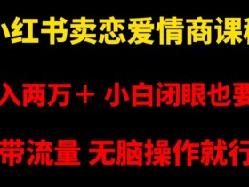 小红书笔记引流是什么意思，理解引流机制与核心操作