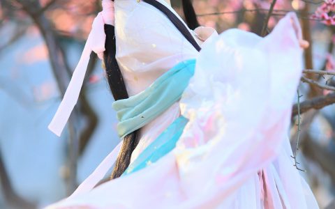 梅花如故 – YiTuYu艺图语