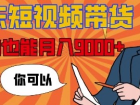 短视频公司如何运营，从创意到投放的全套解决方案