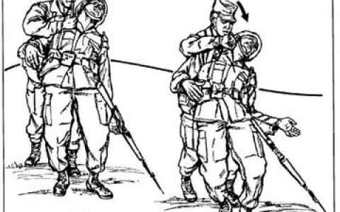 格斗实况漫画app哪个可以看,最受欢迎的漫画观看平台推荐