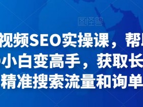 抖音SEO优化工具使用技巧，快速提升视频搜索排名
