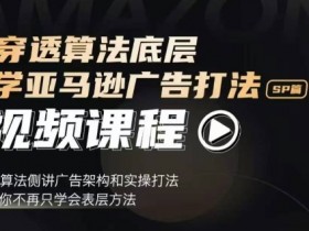 亚马逊成人用品行业的未来，全球市场规模与增长趋势分析