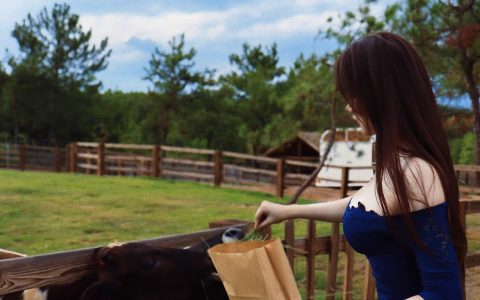 可可西yyy微密写真大作鉴赏图片合集一览,全套作品解析