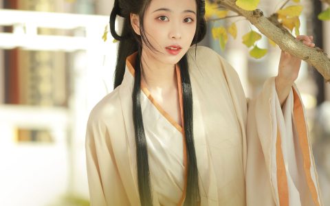愿得一人心唯美 意境 优雅 高雅 古风 小仙女 小清新 – YiTuYu艺图语