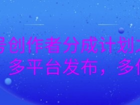 视频号分成计划团队化运营案例，如何实现月入10万+？