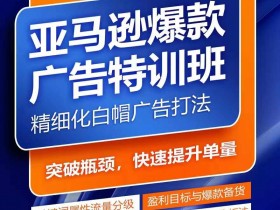 亚马逊成人用品行业哪里进货，高质量供应商推荐与挑选技巧