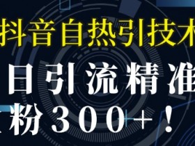 抖音粉丝社群营销怎么玩，从用户需求到精准转化的全攻略