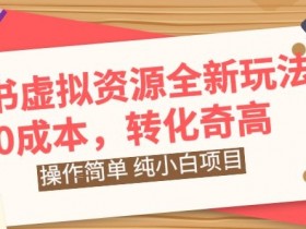 小红书虚拟资料赛道分析，蓝海项目长期可操作