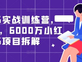 小红书旅游定制项目靠谱吗，适合新手的高利润玩法