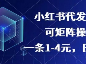 小红书短剧玩法全解析，7天涨千粉轻松接商单月入过万