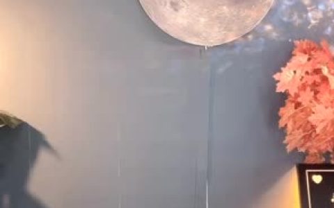 星莱铛铛工作室的微博动态更新,最新内容发布平台