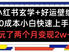 小红书掘金蓝海项目怎么玩，虚拟资料与流量引爆的秘密