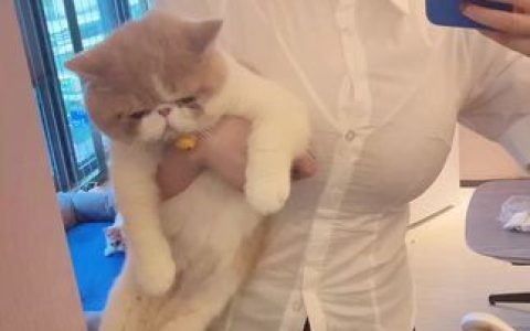 奶雯微密照片合集微笑的文文 weme 圈视频汇总,精彩不容错过