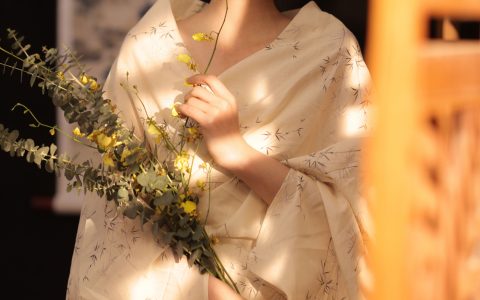 暮色唯美 精美 漂亮 优雅 养眼 光影 日式和风 – YiTuYu艺图语