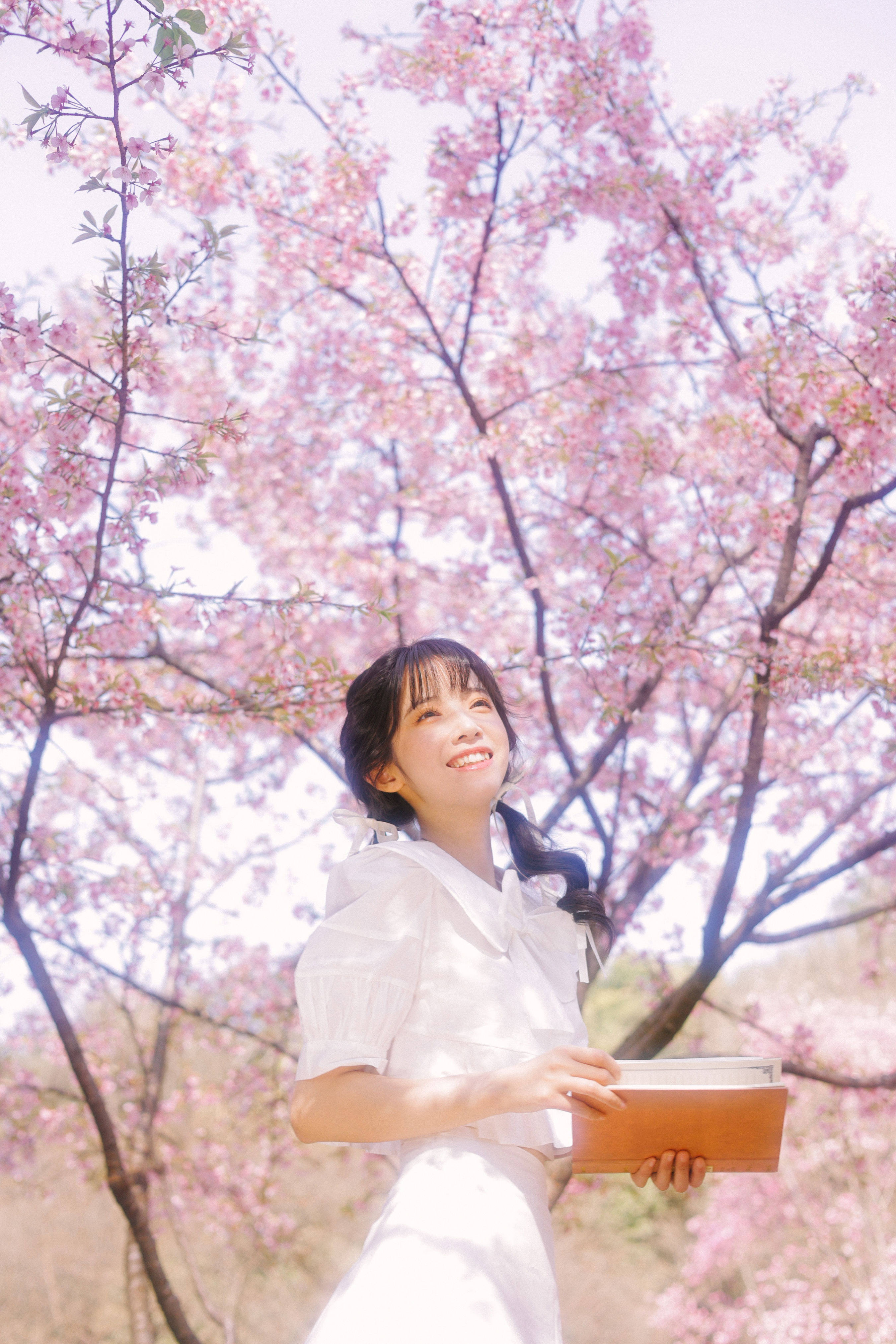 粉樱 樱花 模特 妹子 美图 清纯 小清新