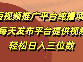 短视频运营思路解析，从内容策划到用户转化的全方位策略
