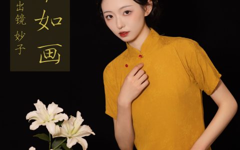 美人如画古典 旗袍 美人 工笔画 中国风 艺术 人像 – YiTuYu艺图语