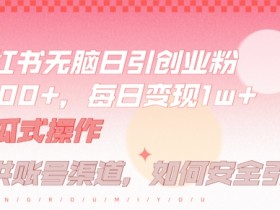 小红书旅游定制项目靠谱吗，适合新手的高利润玩法