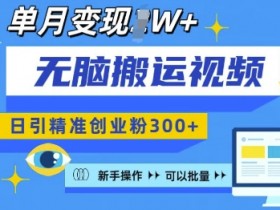 视频号素人矩阵如何突破流量瓶颈，低成本获取流量的技巧