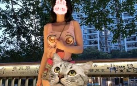 无欲无求的推土君微密圈照片好看吗