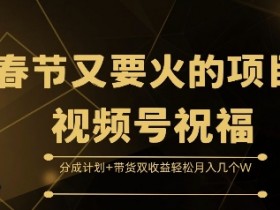视频号素人直播的高级玩法，从个人到团队的运营进阶技巧