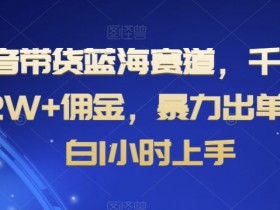 抖音带货好还是快手带货好，全面对比两大平台的优势与劣势