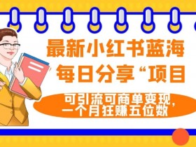 小红书如何高效带货，笔记推广与精准引流的全解析