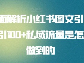如何高效推广短剧，小红书蓝海赛道的操作秘诀揭秘